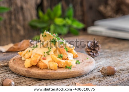 french fries with cheese on wooden