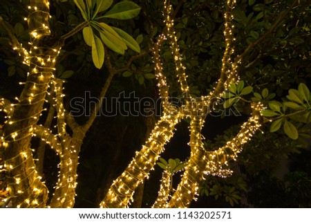 Blur - bokeh - Decorative outdoor string lights hanging on tree in the garden at night time - decorative christmas lights - happy new year
