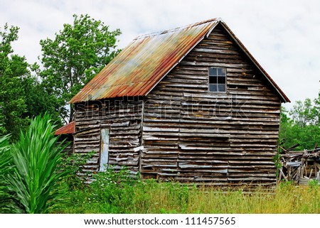 An old rundown farm house/barn along side of a farmers corn field overgrown with weeds and trees.