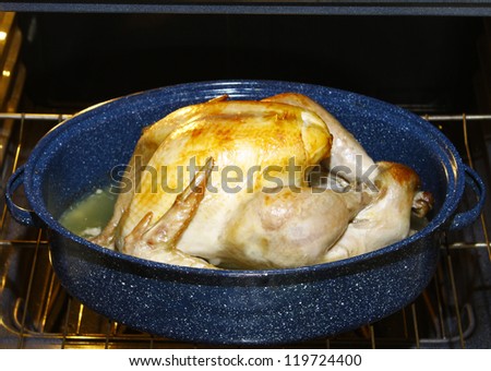 A large Golden Brown Turkey for Thanksgiving dinner cooking in a ceramic pan on the oven rack in the oven