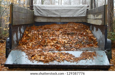 A black utility trailer with leaves in it with a tarp roll to cover the load parked in the woods on a foggy day
