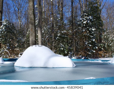A frozen over snow covered swimming pool in the middle of the woods
