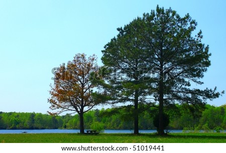 A picnic table under the shade trees along the bank of a peaceful reservoir on a sunny spring day with room for your text.