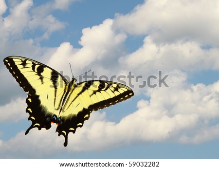 an eastern tiger swallowtail butterfly flying into a beautiful blue sky with clouds