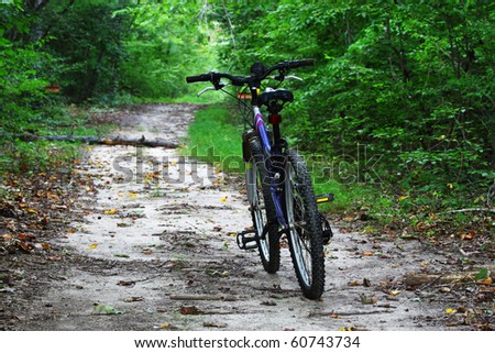 A mountain bike heading into the woods on a trail leading the way
