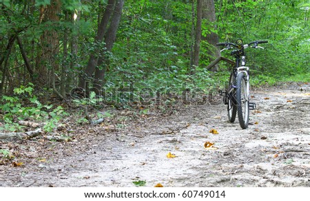 A mountain bike with a flashlight on the handle bars on a trail in the woods with room for your text