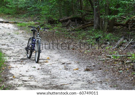 A mountain bike with a flashlight on the handle bars on a trail in the woods with room for your text
