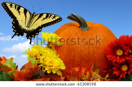 A thanksgiving design with a pumpkin flowers leaves and a butterfly flying out of the flowers into the sky for use as a background