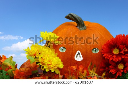 A seasonal holiday Halloween setting of a pumpkin with a face amongst a beautiful flower and sky setting
