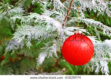 A Christmas holiday ornament in a snow covered live Christmas tree for your use with room for your text.