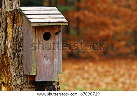 An old small birdhouse using shallow depth of field and selective focus on an old white oak tree during a fall day outside in the woods with room for your text