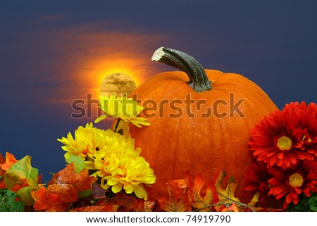 A seasonal holiday thanksgiving Pumpkin setting amongst the flowers with a fire red glowing fall moon in the background night sky with room for your text.