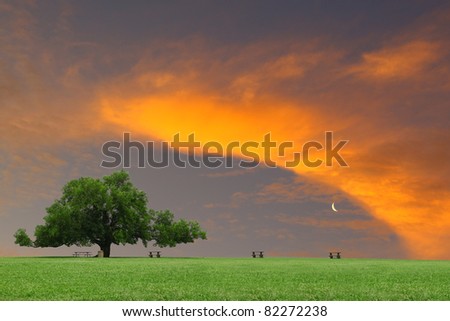 A large oak tree in a grass field in a park used as a shade tree for picnic tables on a gorgeous summer day as the sunsets through the clouds with room for your text.