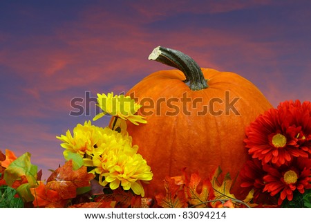 A seasonal holiday thanksgiving Pumpkin setting amongst the flowers with a fall sun setting night sky with room for your text.