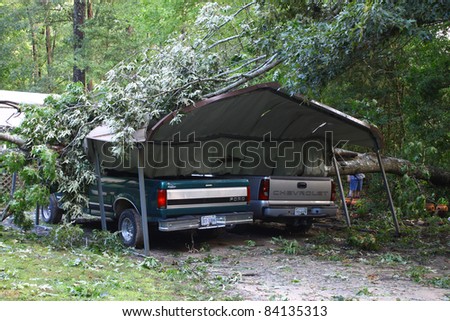 GLOUCESTER, VA, USA - AUG 28: Hurricane Irene damage to two trucks crushed by a fallen tree in Ark.August 28, 2011 in Gloucester, VA, USA
