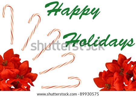 A seasonal Christmas Holiday decoration of candy canes and poinsettia plants isolated on white with room for your text.