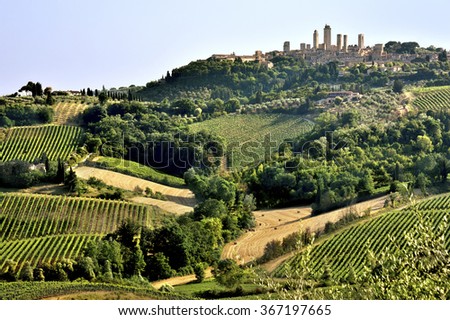 Tuscan landscape with vine yards and fields on hills crowned by the skyline of San Gimignano, Tuscany, Italy