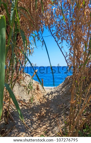 Hidden path leading to secret beach