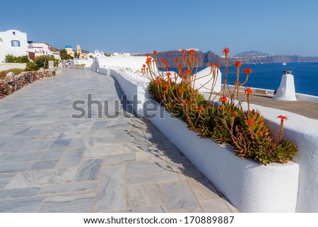 Beautiful red flowers against the sea and sky in Santorini streets, Greece