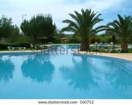 swimming-pool garden
