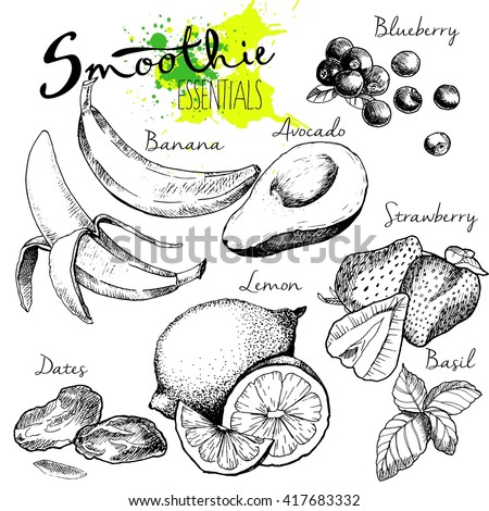 Vector set of fruits and vegetables for detox smoothie. Vegetarian healthy treating hand drawn  illustration. Use for bar, cocktail, flyer, banner, store