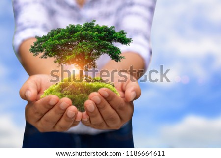 Human hands holding green plant over nature background.Saving world natural environment and sustainable ecosystem with tree planting on volunteer's hand. Environment. Ecology concept.