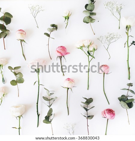 Pink roses on white background. Flat lay