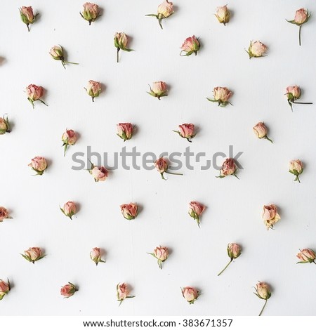 Pattern with pink roses at white background. Flat lay, top view