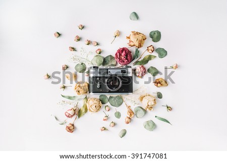 Flat lay. Vintage retro photo camera, beige roses and green leaves