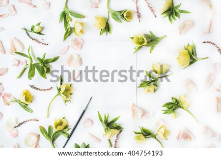 Roses and petals background. Roses and petals scattered on white
