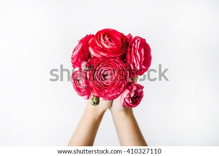 bouquet of red ranunculus or roses in girl\'s hands on white background. Flat lay, top view
