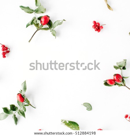 floral frame with minimal creative berry arrangement pattern on white. flat lay, top view. christmas background wallpaper.