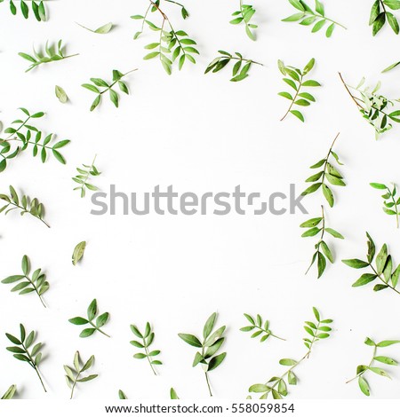 Frame of green branches and leaves on white background. Flat lay, top view