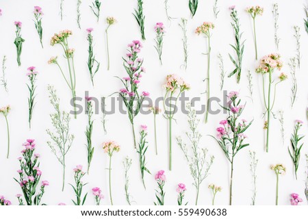 Floral pattern with pink and beige wildflowers, green leaves, branches on white background. Flat lay, top view. Valentine\'s background