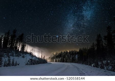 Magical Snowy Road