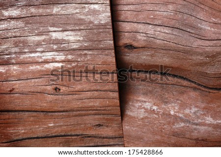 Cut Cedar wood logs