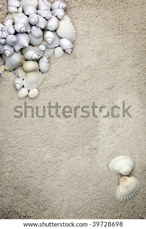 Seashell stationary background in soft off white colors