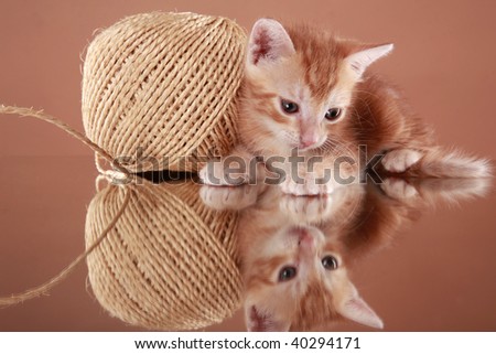 Baby kitten and sisal yarn