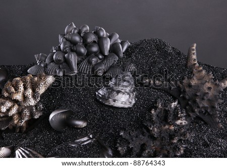 Black sand and seashell background for small object display