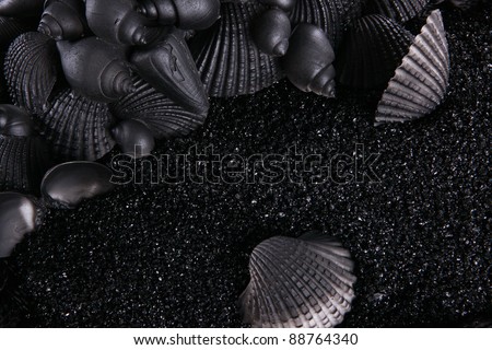 Black sand and seashell background for small object display