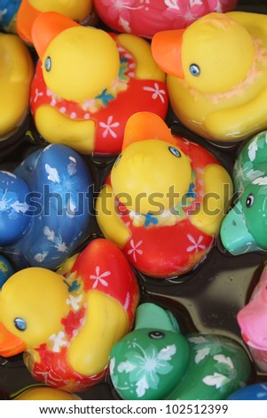 Ducks at a carnival game
