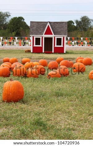 Small play house with pumpkins all around. Pumpkin patch season.