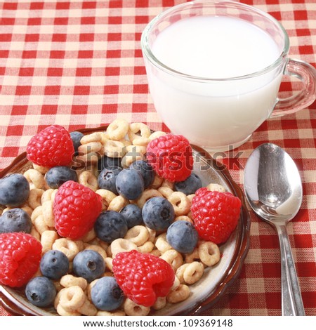 Breakfast cereal with berries