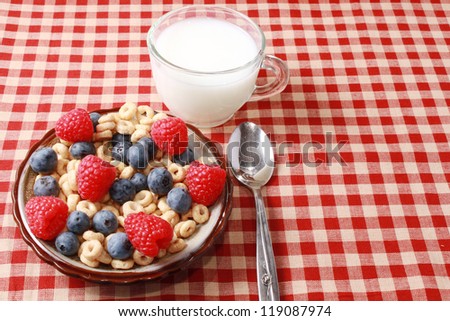 Breakfast cereal with berries