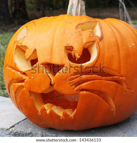 Pumpkin cut out as a scary cat for Halloween