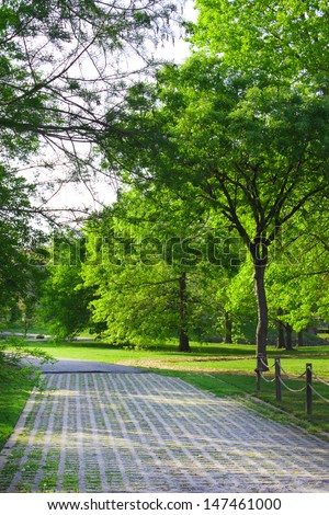 Peaceful path walk in a park