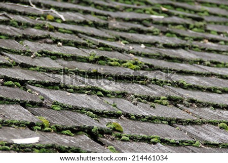 Wooden roof with old shingles and moss