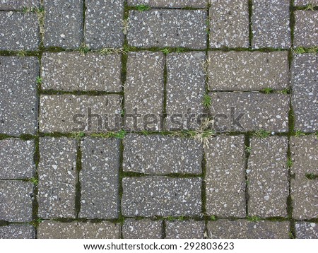 Details of a brick road