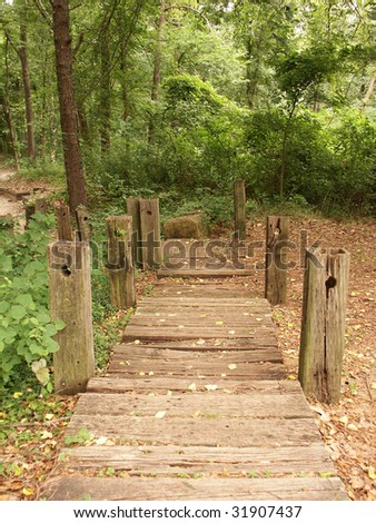 Wood walking path