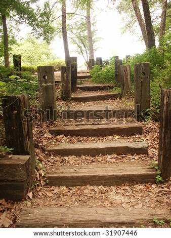 Path with wood steps